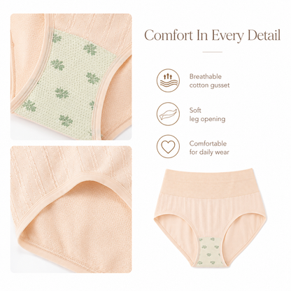 DALAMI Plus Size High Waist Tummy Control Panties – 5pcs Combo