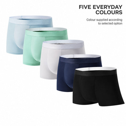 Five colours of men's ice silk boxer